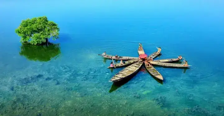 টাঙ্গুয়ার হাওর ‘সোনার ডিমপাড়া হাঁস’ নয়