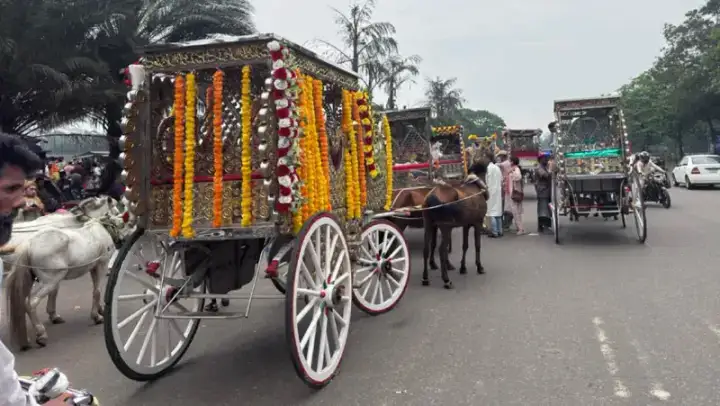 যান্ত্রিক ঢাকায় মানিক মিয়া এভিনিউয়ে ঘোড়ার গাড়ির রাজকীয় ছোঁয়া