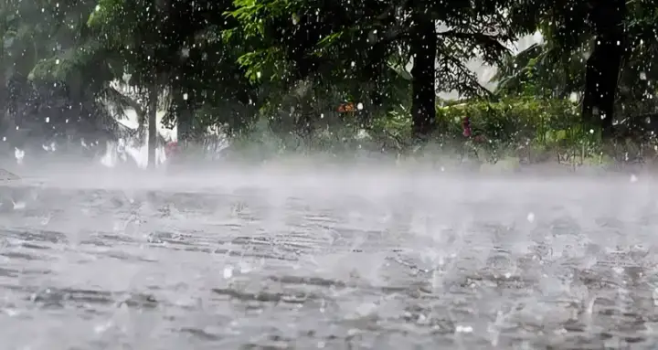 দেশের চার বিভাগে ধেয়ে আসছে শক্তিশালী বৃষ্টিবলয়, কয়েক দিন ভারি বৃষ্টির পূর্বাভাস